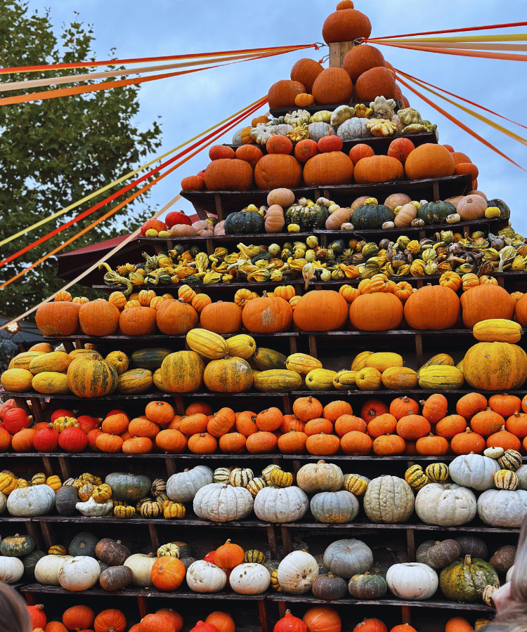 Diese Halloween Hot Spots musst du besuchen | Kürbisparadies