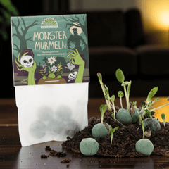 Halloween Blumenmurmeln Set – 25 Saatkugeln in 5 Designs