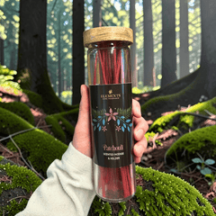 Dark Forest Räucherstäbchen Set – 4 Düfte mit Glasröhrchen und Halter