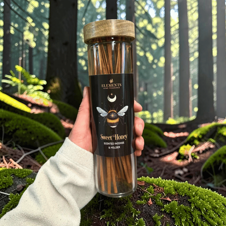 Dark Forest Räucherstäbchen Set – 4 Düfte mit Glasröhrchen und Halter