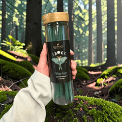 Dark Forest Räucherstäbchen Set – 4 Düfte mit Glasröhrchen und Halter