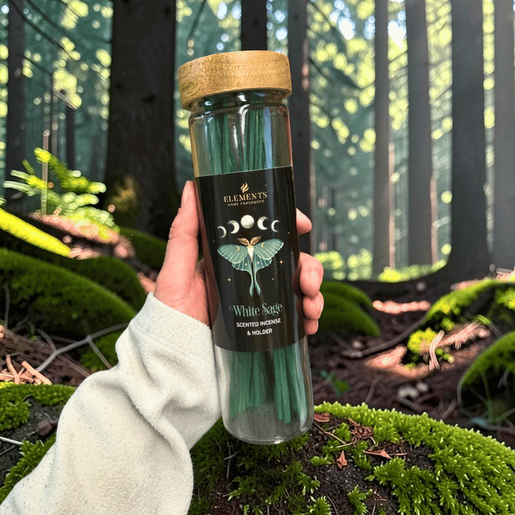 Dark Forest Räucherstäbchen Set – 4 Düfte mit Glasröhrchen und Halter