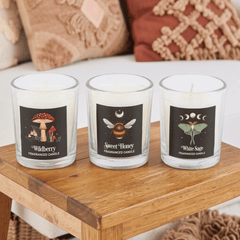 Dark Forest Votivkerzen Set – Duftkerzen Trio im Glas