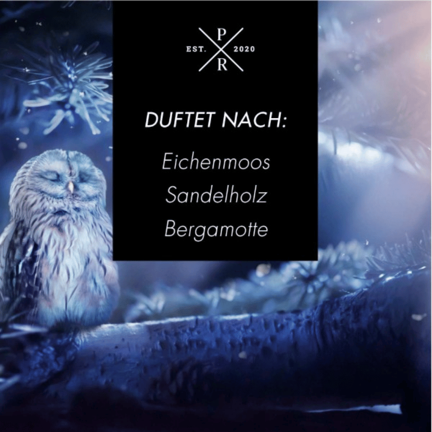 Duftkerze Magical Forest – 113g Sojawachs (Purple River)