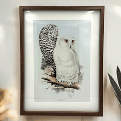 Eulen Wandbild