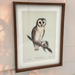 Eulen Wandbild