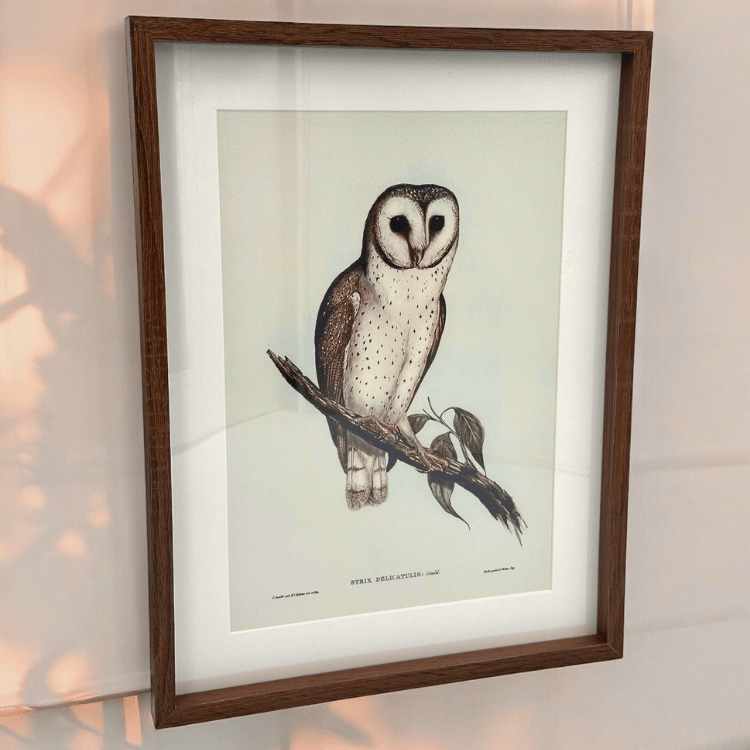 Eulen Wandbild