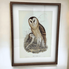 Eulen Wandbild