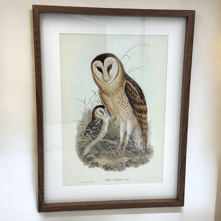Eulen Wandbild