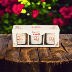 Funky Fungi Pilzkerzen – 3er Set