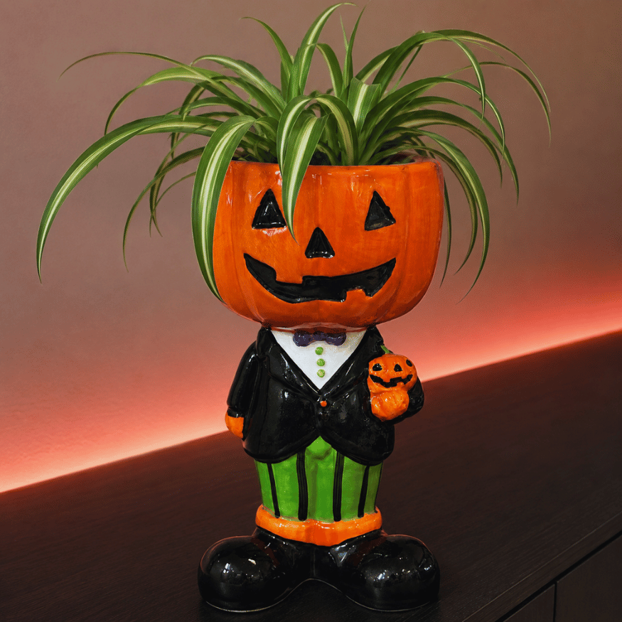 Halloween-Blumentopf mit Kürbiskopf und Anzug