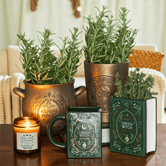 Herbal Magic Kessel-Blumentopf – Terrakotta Pflanzenkessel in Bronzeoptik