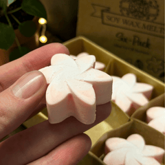 Sommerliche Waxmelts Magnolie – 6er Set Sojaswachs in Blütenform