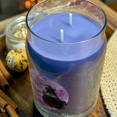 Yankee Candle Amethyst Moon Duftkerze im Glas