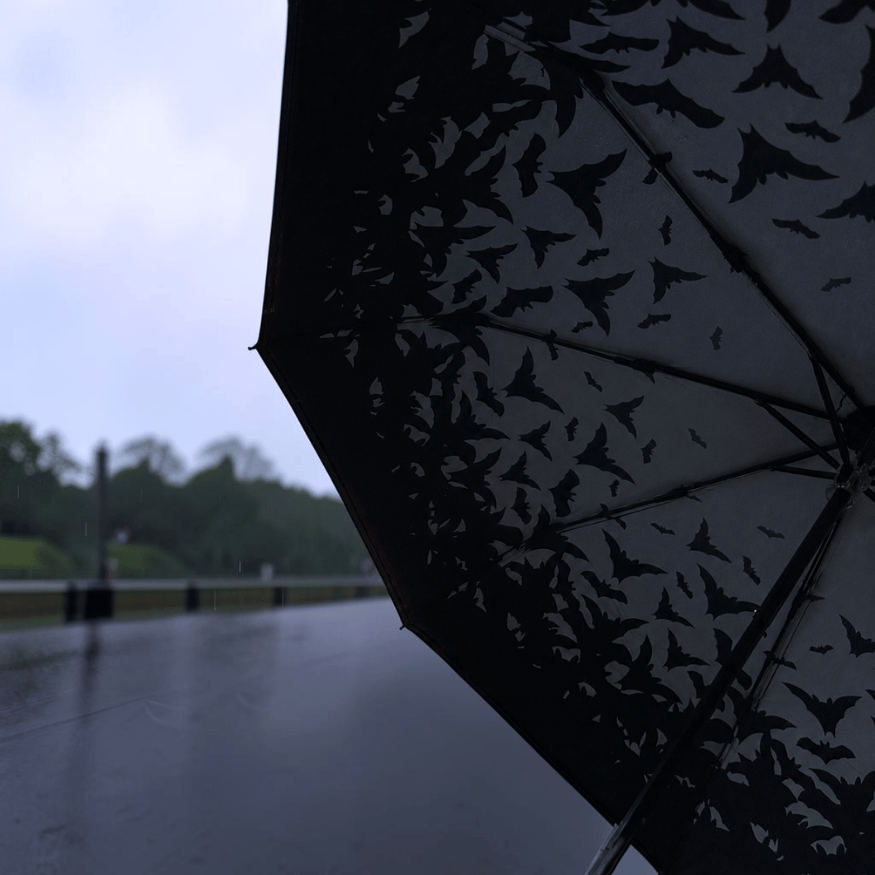 Spookula Regenschirm Fledermaus – Taschenschirm mit Dracula Design OTOTO