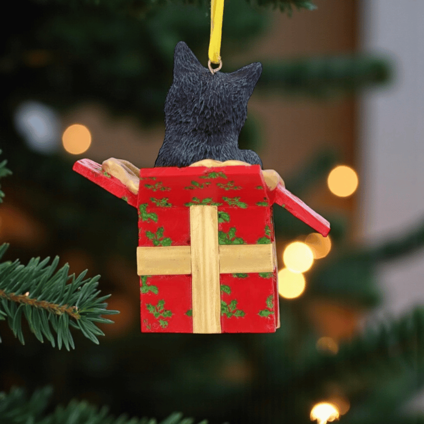 Weihnachtsbaum Anhänger für Catlover – Katze in Geschenk von Lisa Parker