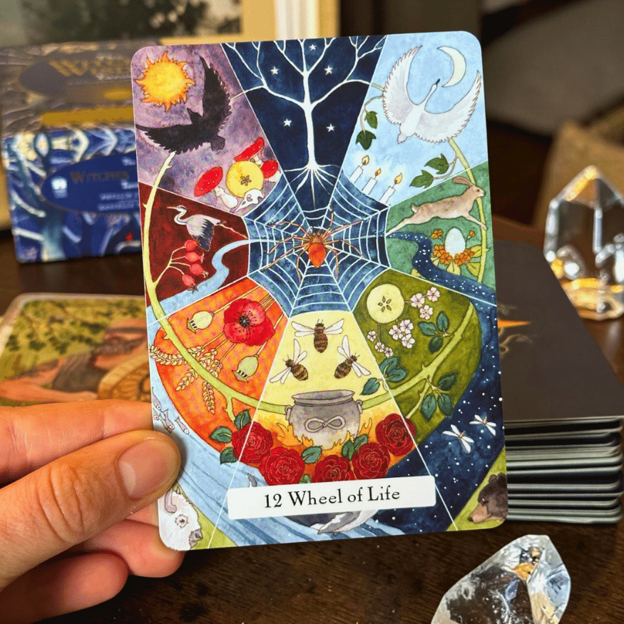 Witches’ Wisdom Tarot – Witchy Tarotkarten mit Guidebook (Englisch)